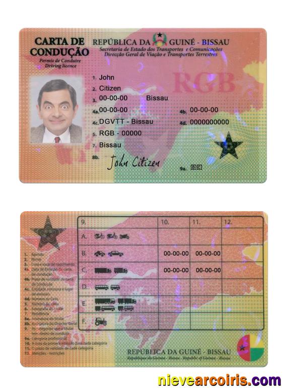 Guine-Bissau driving license